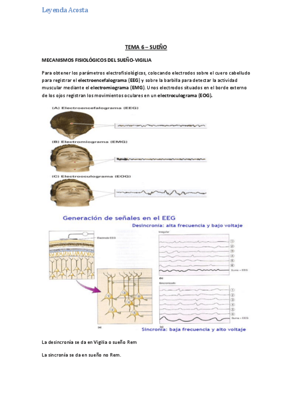 Miniatura del documento TEMA 6 - SUEÑO.pdf