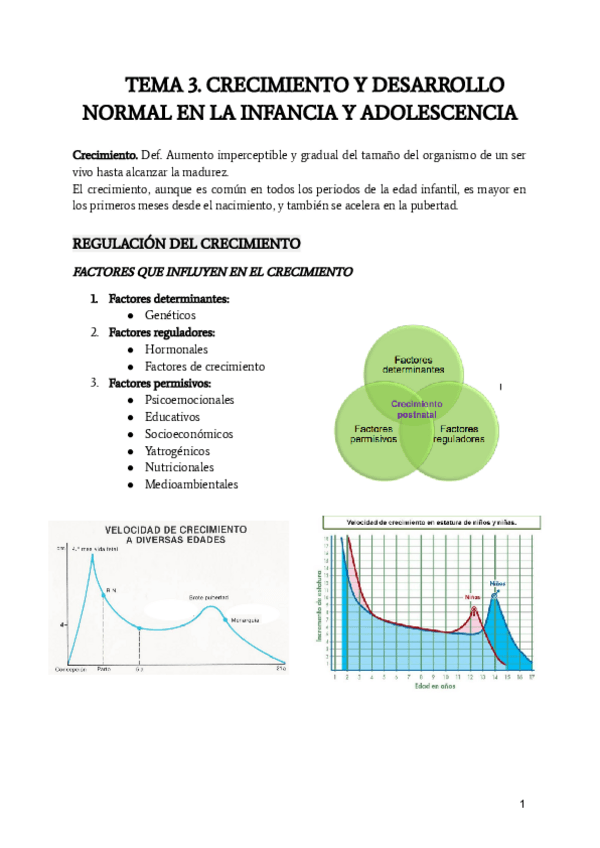 Miniatura del documento TEMA-3.pdf