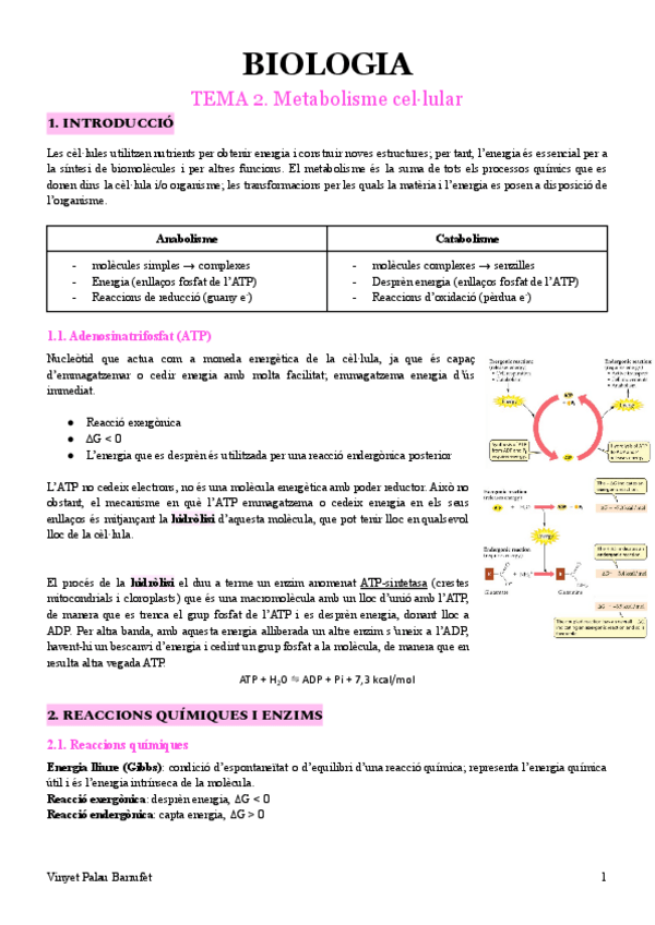 Miniatura del documento BIOLOGIA-TEMA-2.-METABOLISME-CELLULAR.pdf