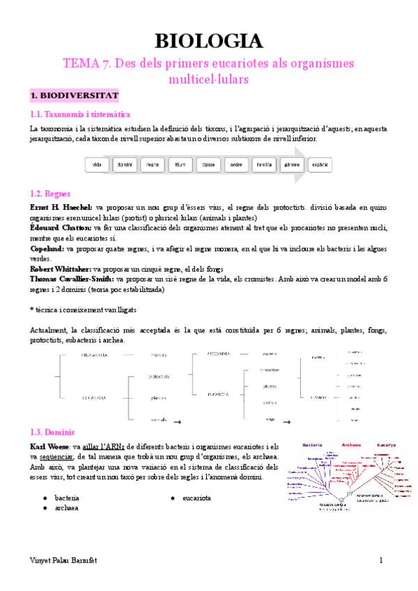 Miniatura del documento BIOLOGIA-TEMA-7.-DES-DELS-PRIMERS-EUCARIOTES-ALS-ORGANISMES-MULTICELLULARS.pdf