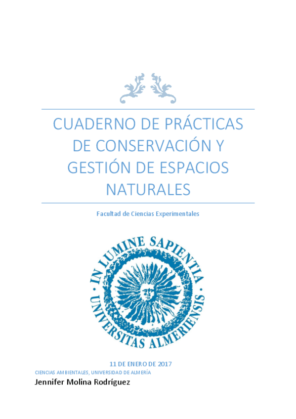 Miniatura del documento informe espacios definitivo.pdf