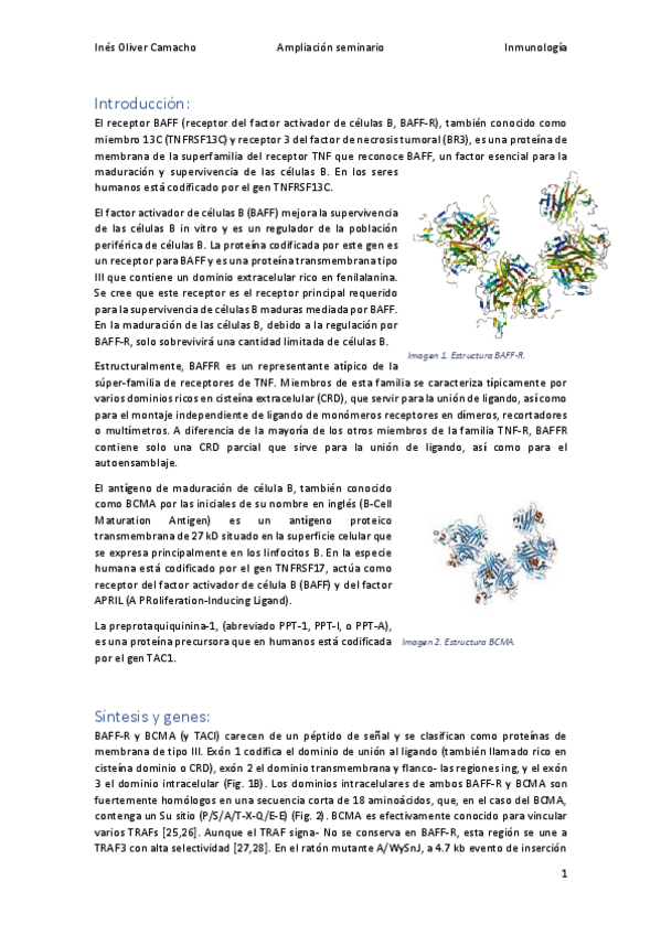 Miniatura del documento trabajitoseminario2.pdf