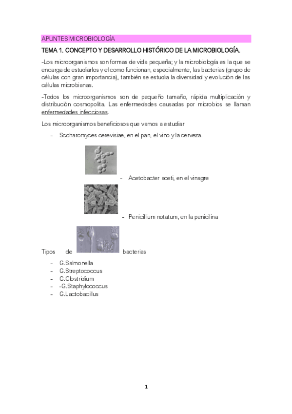 Miniatura del documento APUNTES-MICROBIOLOGIA.pdf