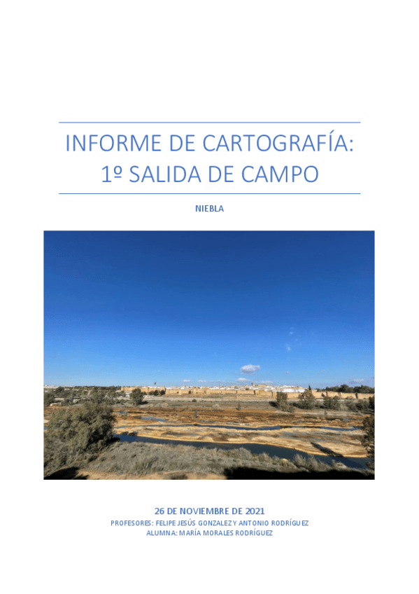 Miniatura del documento INFORME-1o-SALIDA.pdf