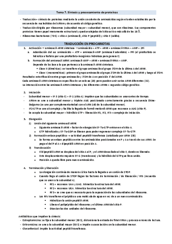 Miniatura del documento Resumen-tema-7.-Traduccion.pdf