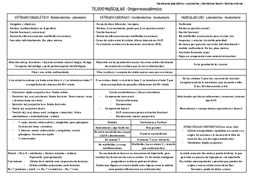 Miniatura del documento Tabla-comparativa-tema-muscular.pdf