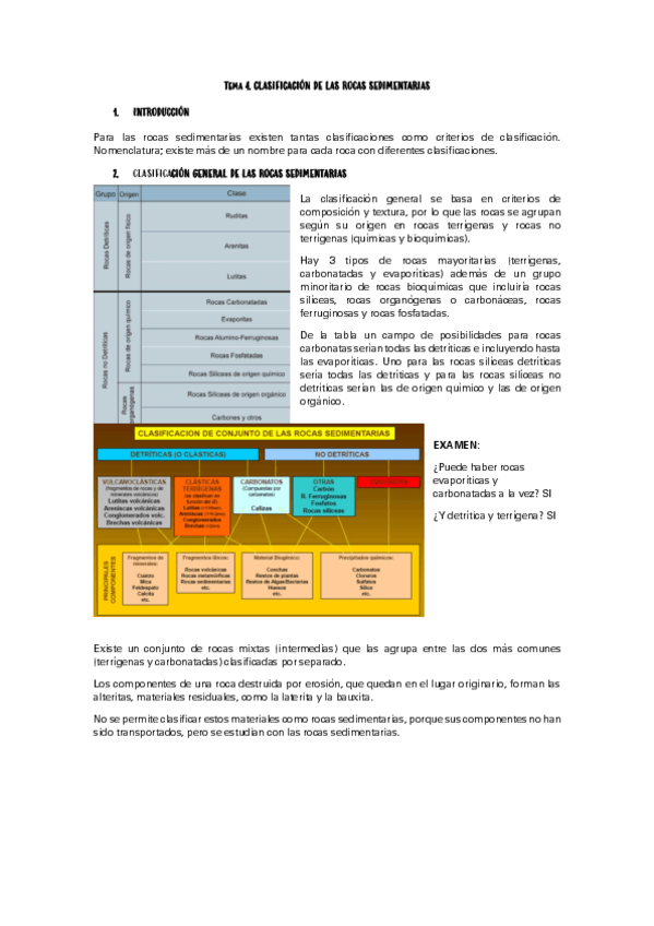 Miniatura del documento T4-CLASIFICACION-DE-ROCAS-SEDIMENTARIAS.pdf