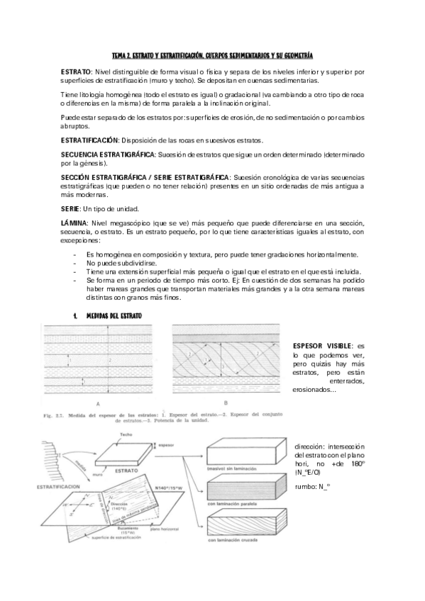 Miniatura del documento ESTRATO-Y-ESTRATIFICACION.pdf