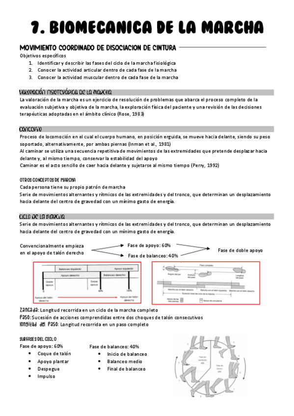 Miniatura del documento Tema-7.-Biomecanica-de-la-marcha.pdf