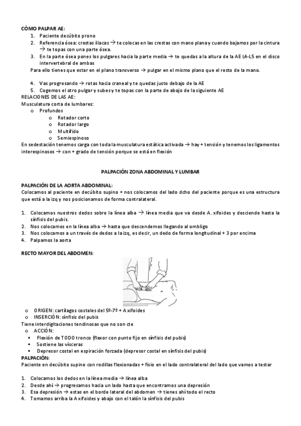 Miniatura del documento EXAMEN-PRACTICO-I-palpacion-cinesiterapia-pasiva-y-activa-y-balances-musculares.pdf