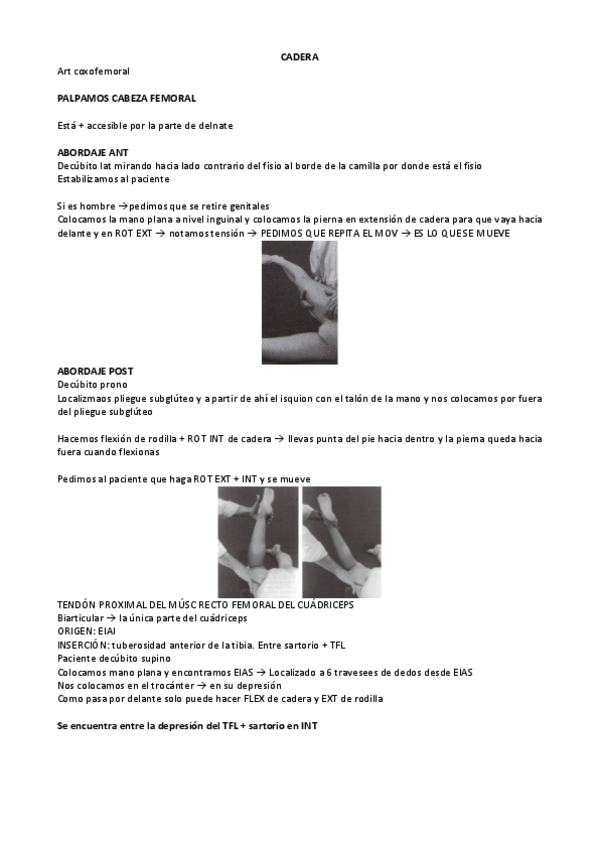 Miniatura del documento EXAMEN-PRACTICO-II.pdf