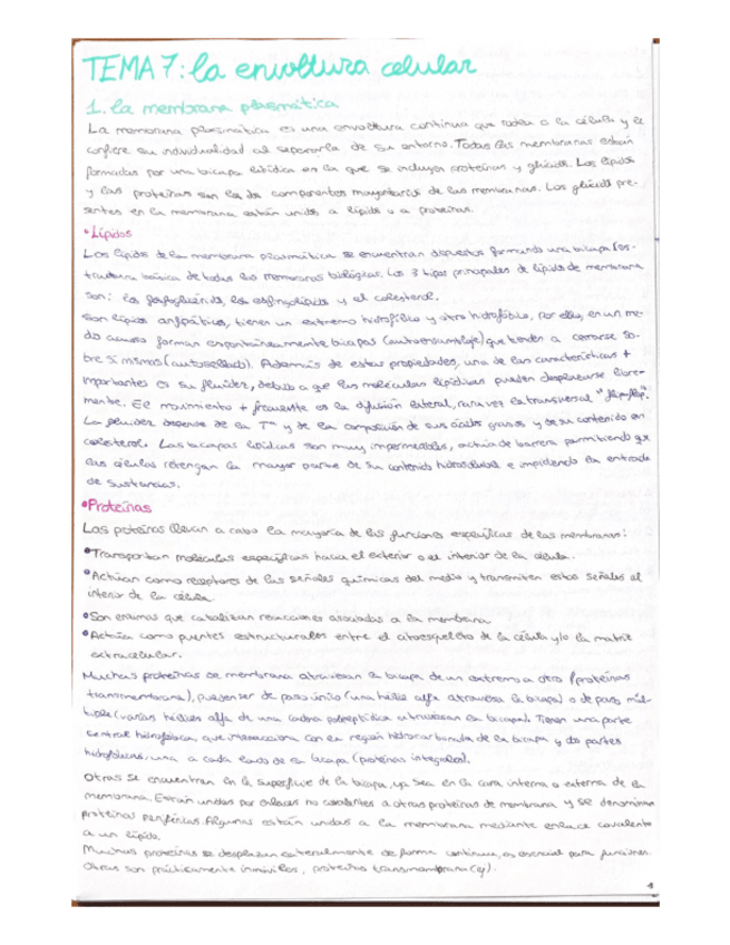 Miniatura del documento Temas-7-12.pdf