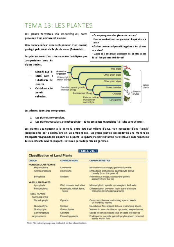 Miniatura del documento Tema-13-plantes.pdf