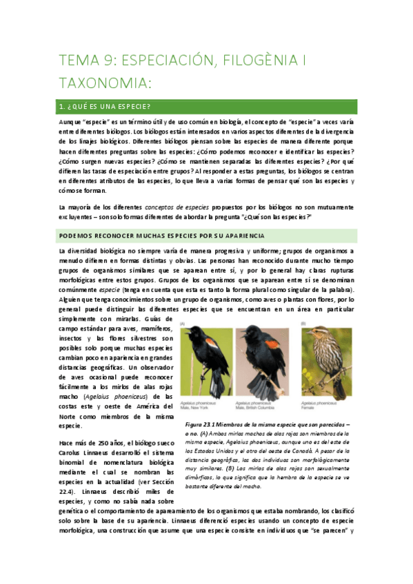 Miniatura del documento t9-filogenia....pdf