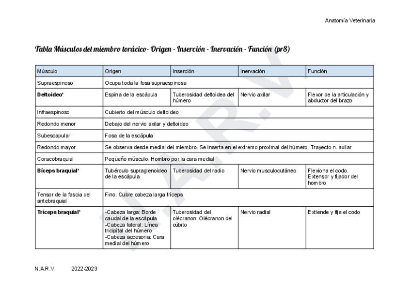 Miniatura del documento COMPLETO-Anatomia-I-practicas-pt2.pdf