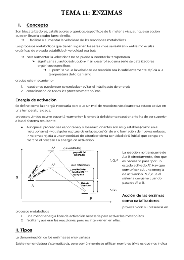 Miniatura del documento T11-Enzimas.pdf