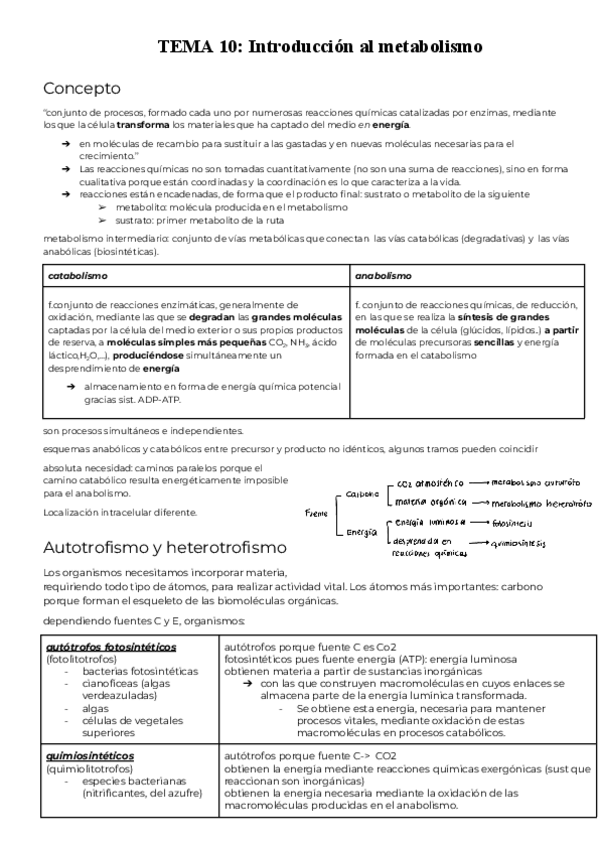 Miniatura del documento T10-Introduccion-al-metabolismo.pdf