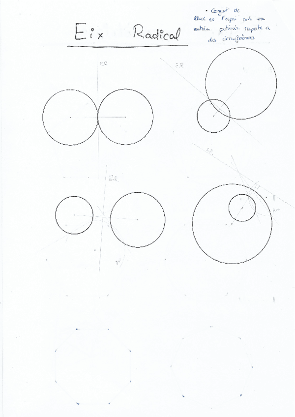 Miniatura del documento eje-radical.pdf