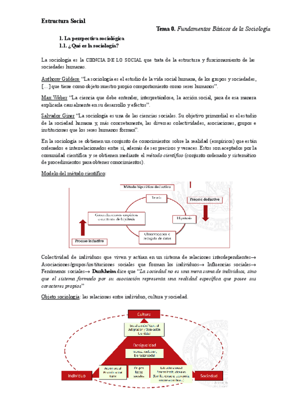 Miniatura del documento t0-apuntes-estructura-social.pdf