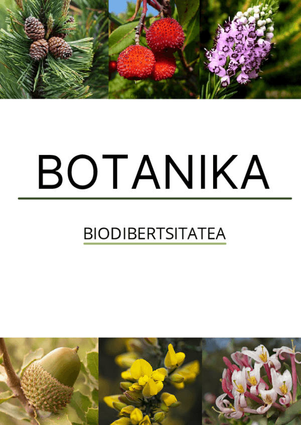 Miniatura del documento Biodibertsitatea-Botanika-atala.pdf