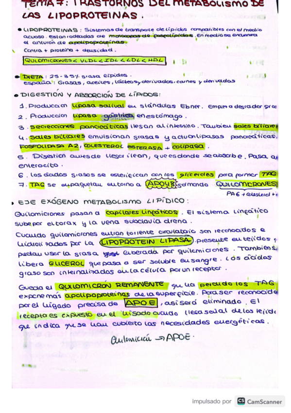 Miniatura del documento Bloque-II-lipidos.pdf