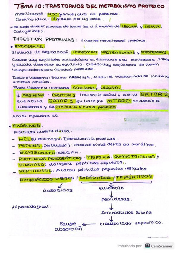 Miniatura del documento Bloque-III-proteinas.pdf