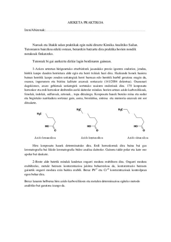 Miniatura del documento AriketaPraktikoa.pdf