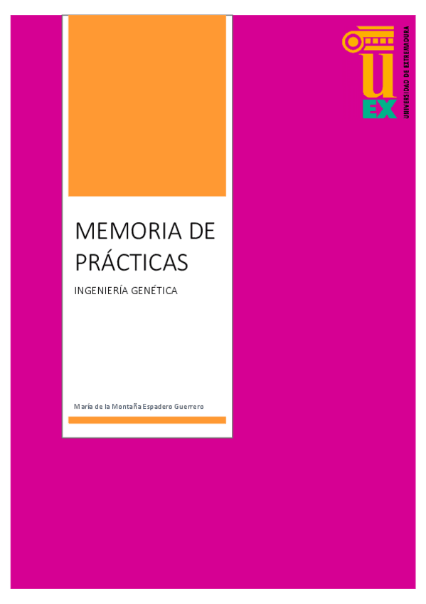 Miniatura del documento Cuestionario-practicas-IGMaria-de-la-MontanaEspaderoGuerrero.pdf