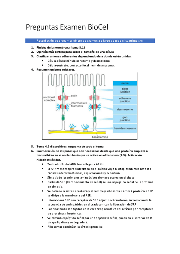 Miniatura del documento Preguntas-examen-resueltas.pdf