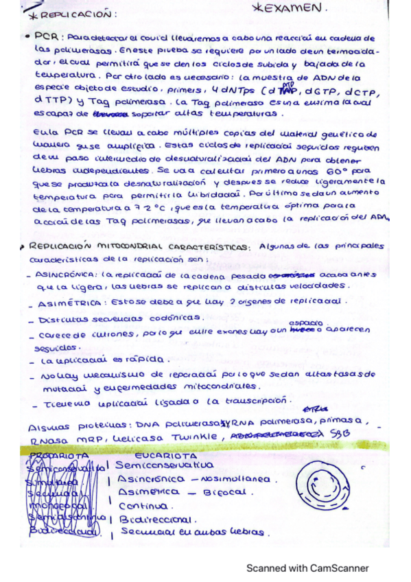 Miniatura del documento Preguntas-tipicas-examen-biologia-molecu.pdf