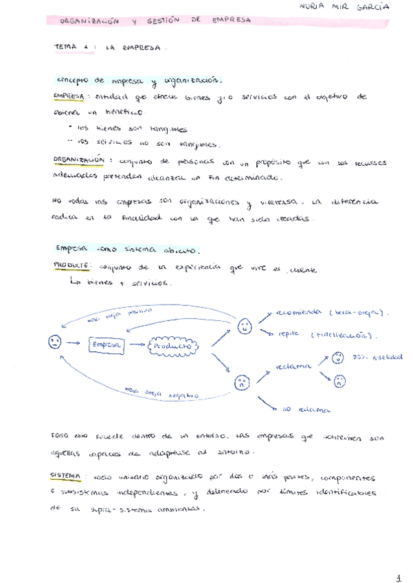 Miniatura del documento Apuntes Org y Gestión de Empresas.pdf