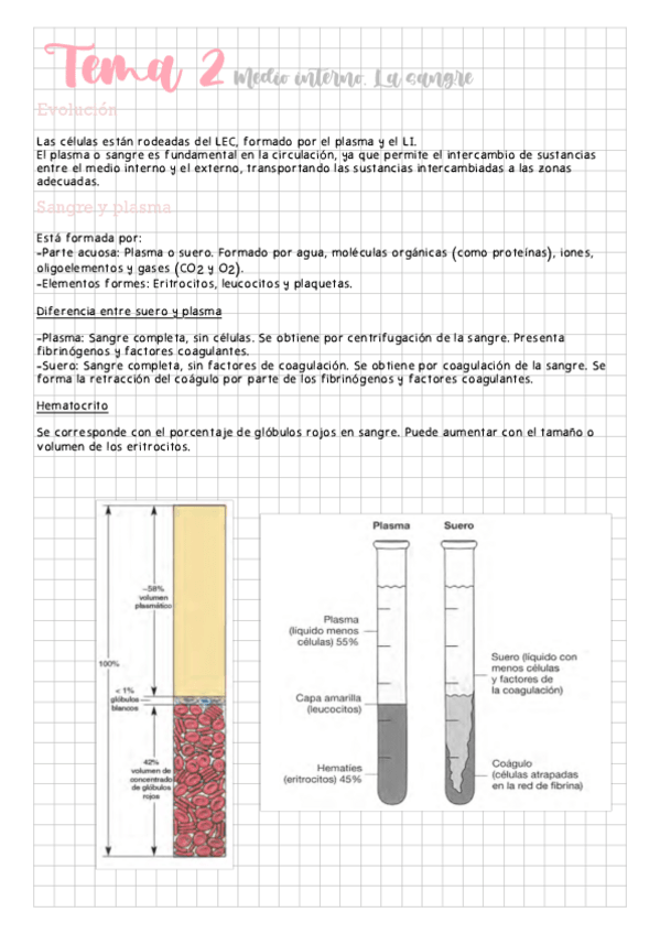 Miniatura del documento Tema-2-La-sangre.pdf