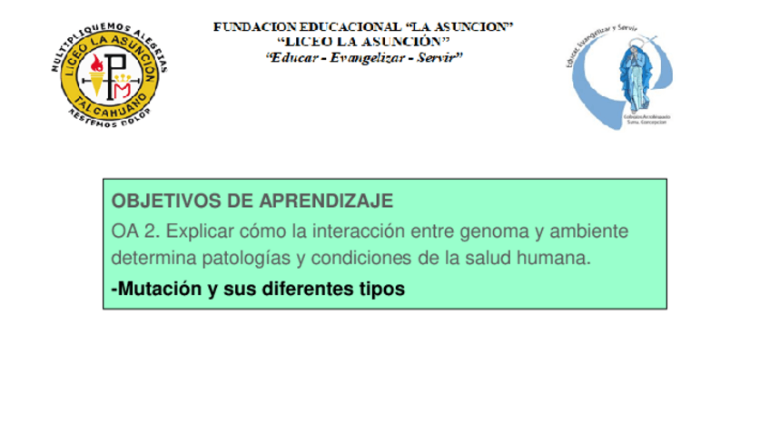 Miniatura del documento Tipos-de-mutacion.pdf