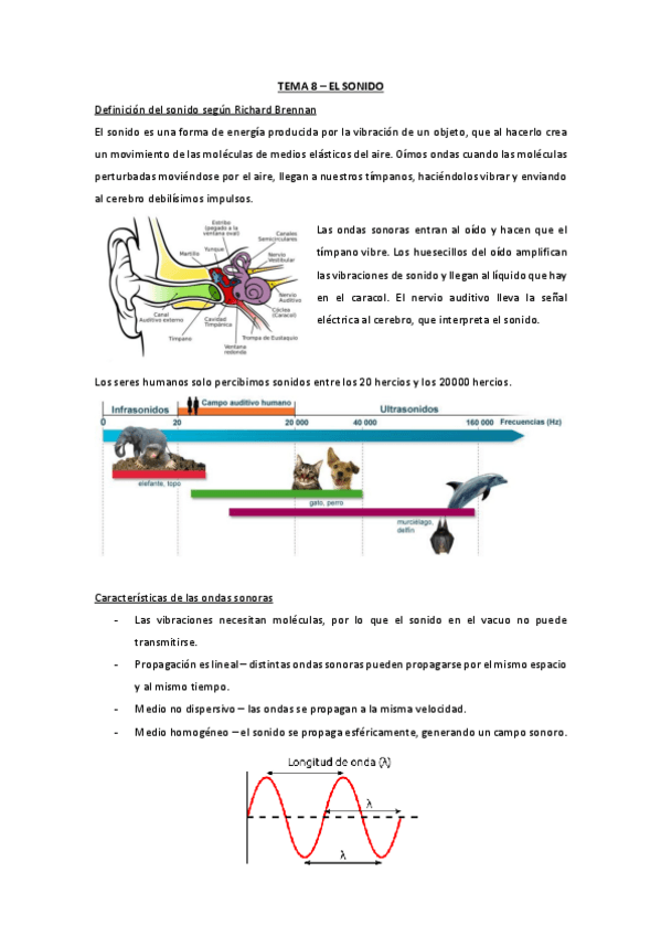 Miniatura del documento T8-camara-y-sonido.pdf