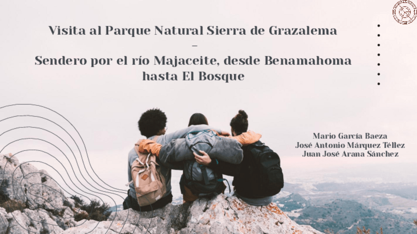 Miniatura del documento Presentacion-Proyecto.pdf