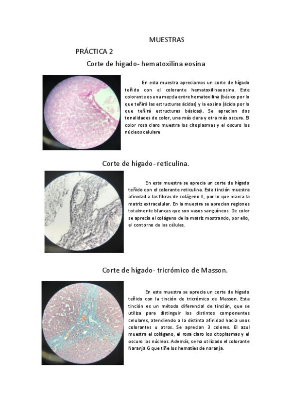 Miniatura del documento apuntes muestras.pdf