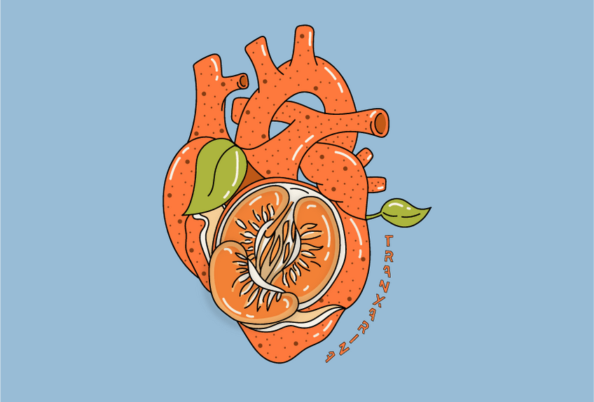 Miniatura del documento Brandbook-Tranxarina.pdf