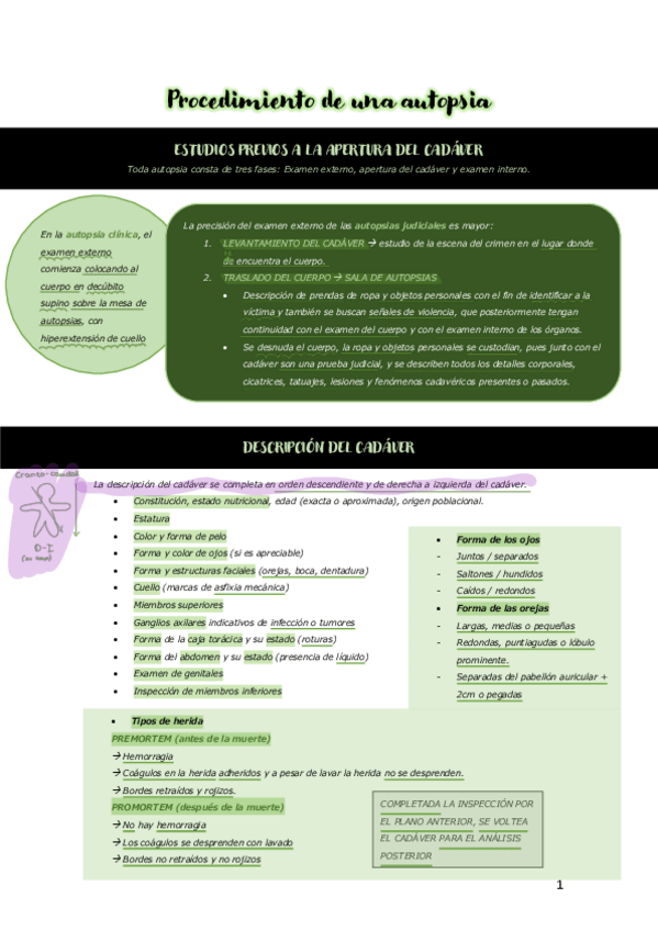 Miniatura del documento TEMA-4-NECRO.pdf