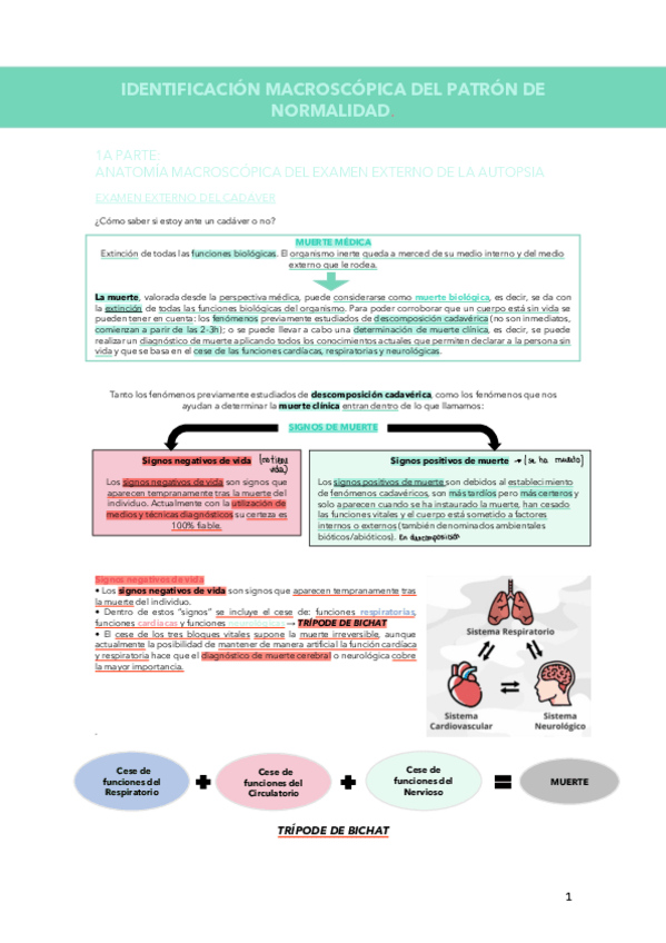 Miniatura del documento PARCIAL-NECRO-T-5.pdf