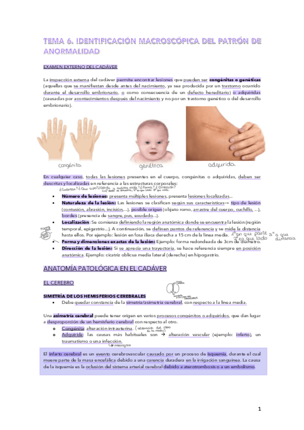 Miniatura del documento PARCIAL-NECRO-T-6-7.pdf