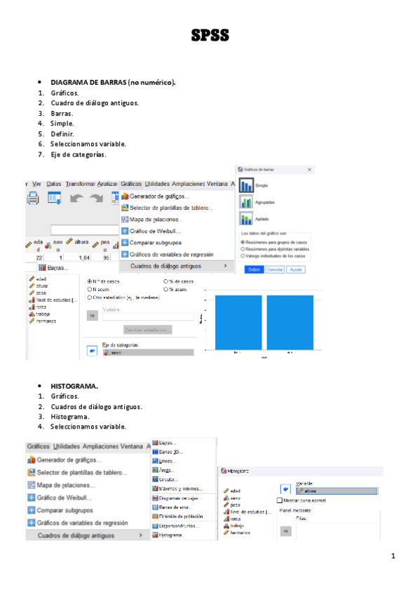 Miniatura del documento Guía_SPSS.pdf