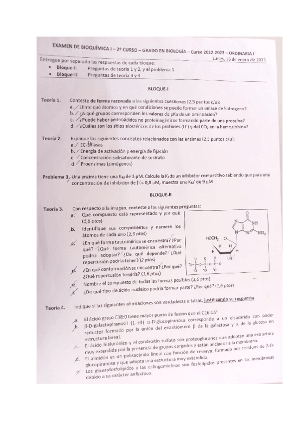Miniatura del documento ordinaria-enero-2023.pdf
