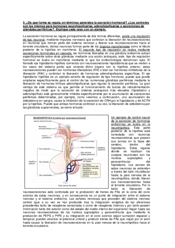 Miniatura del documento respuestas endocrino.pdf