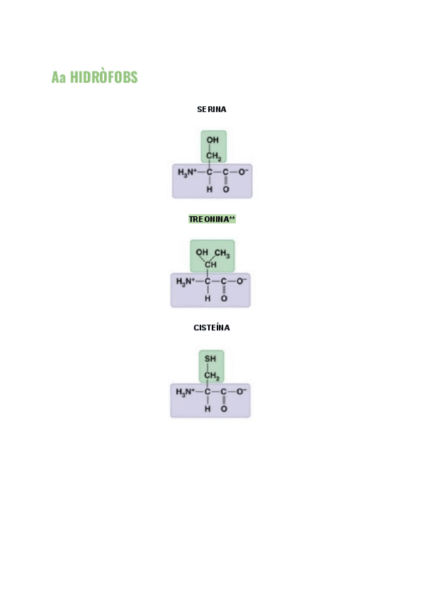 Miniatura del documento Aminoacids.pdf