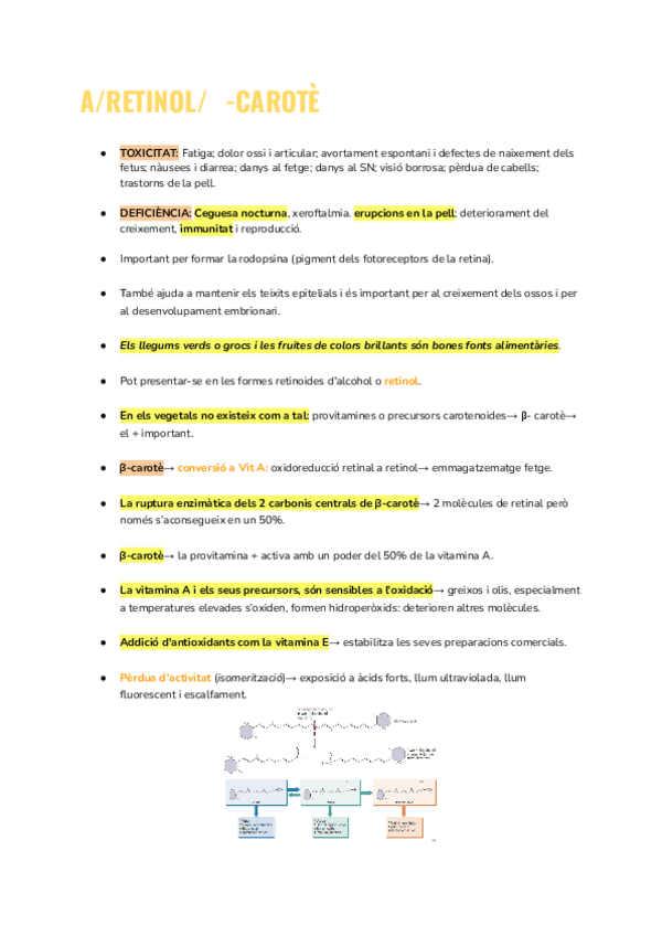 Miniatura del documento vitamines.pdf