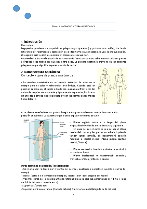 Miniatura del documento Temario de anatomía COMPLETO.pdf