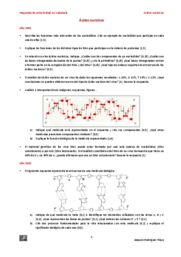 Miniatura del documento selectividadacnucleicos-1.pdf