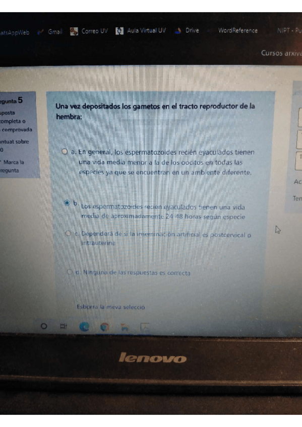 Miniatura del documento Cuestionario-endocrino.pdf