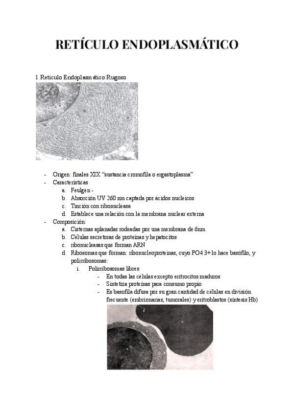 Miniatura del documento RETICULO-ENDOPLASMATICO.pdf
