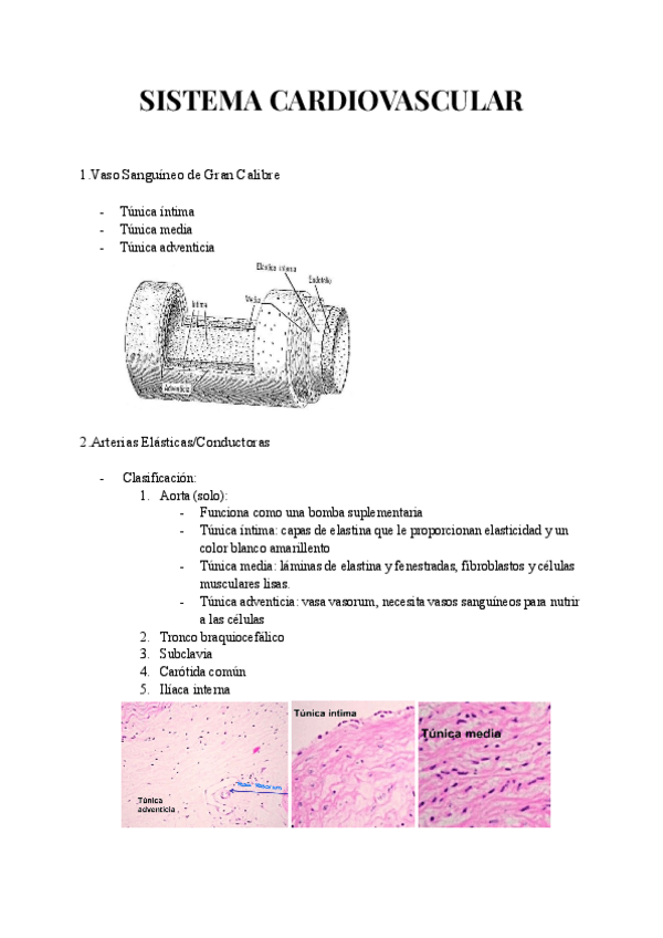 Miniatura del documento SISTEMA-CARDIOVASCULAR.pdf